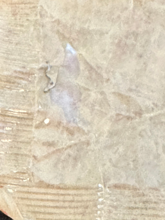 Elgin Factory Set Lever / Detent for 11/0s Grade 644, 645 movements