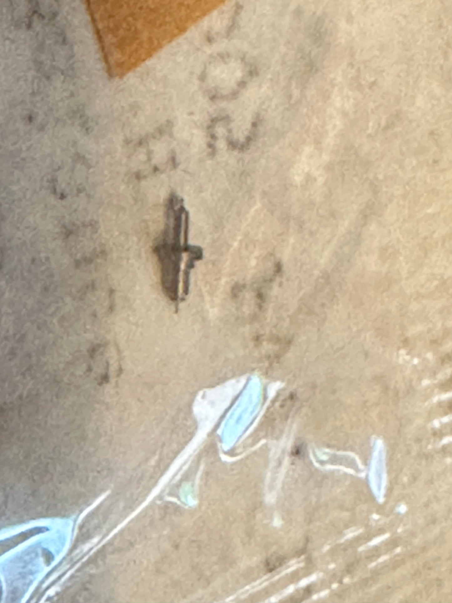 Elgin Factory Balance Staff for 12s / 14s movements, Pivot .11, No. 1905