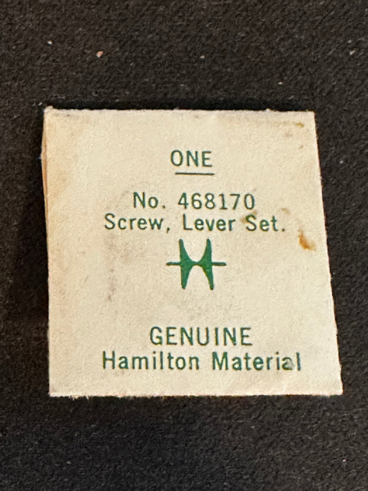 Hamilton Factory Setting Lever Screw for Hamilton Electric Grades 500, 500A, 505