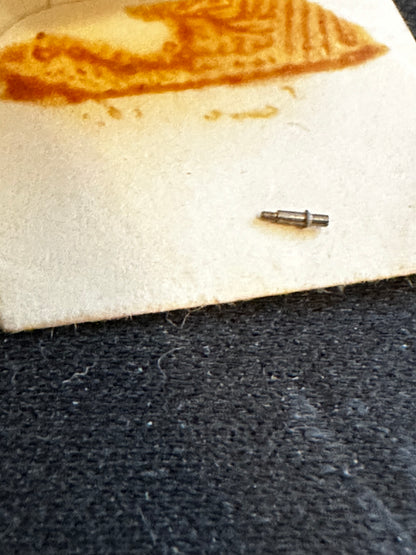 Hamilton Factory Set Lever Screw for 21/0s Hamilton Grades 750, 751, 756, 757, 780, 761