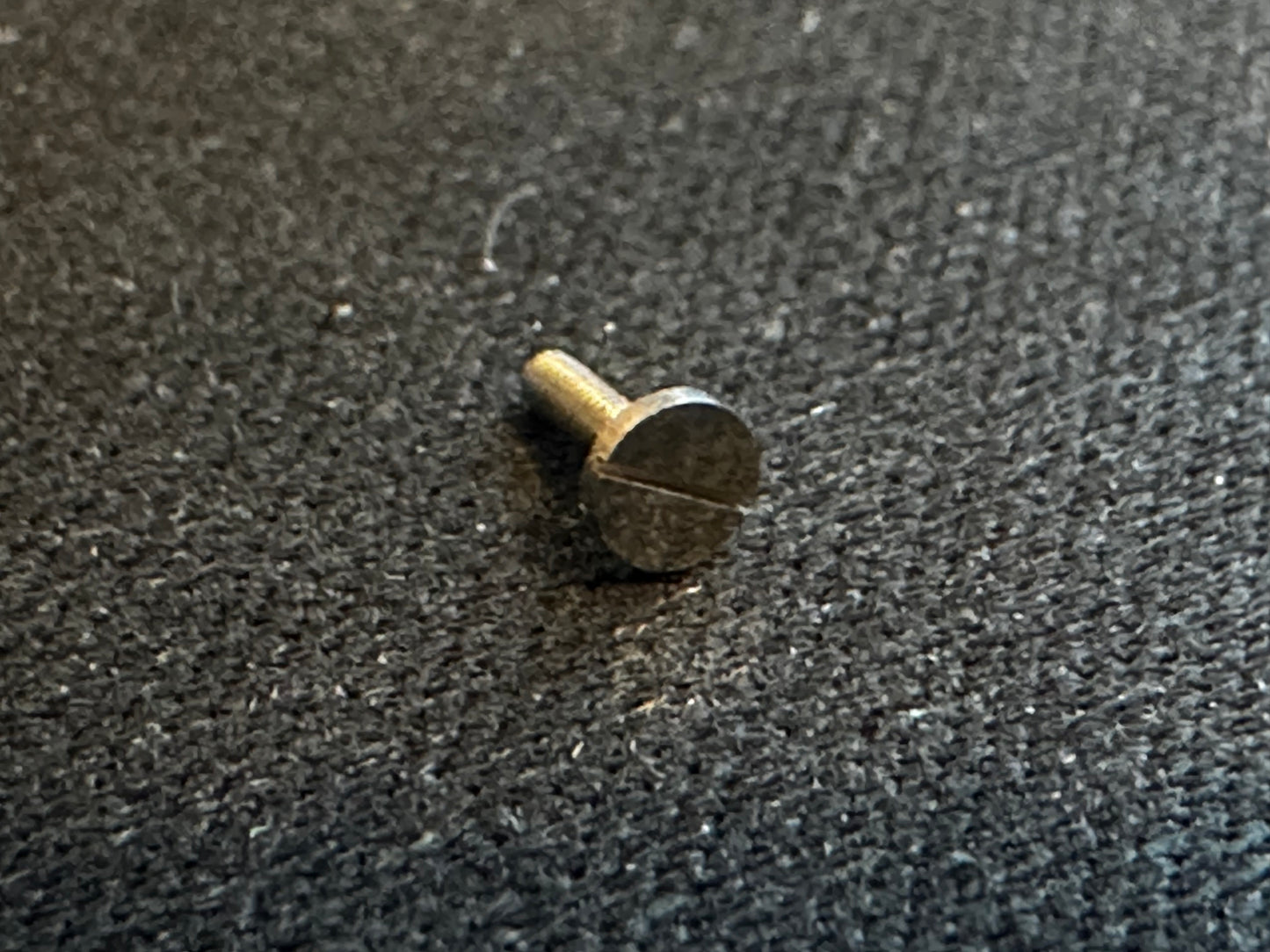 Hamilton Factory Case Screw for Hamilton 16s movements No. 393040